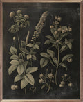Vintage Neutral Floral Print Black