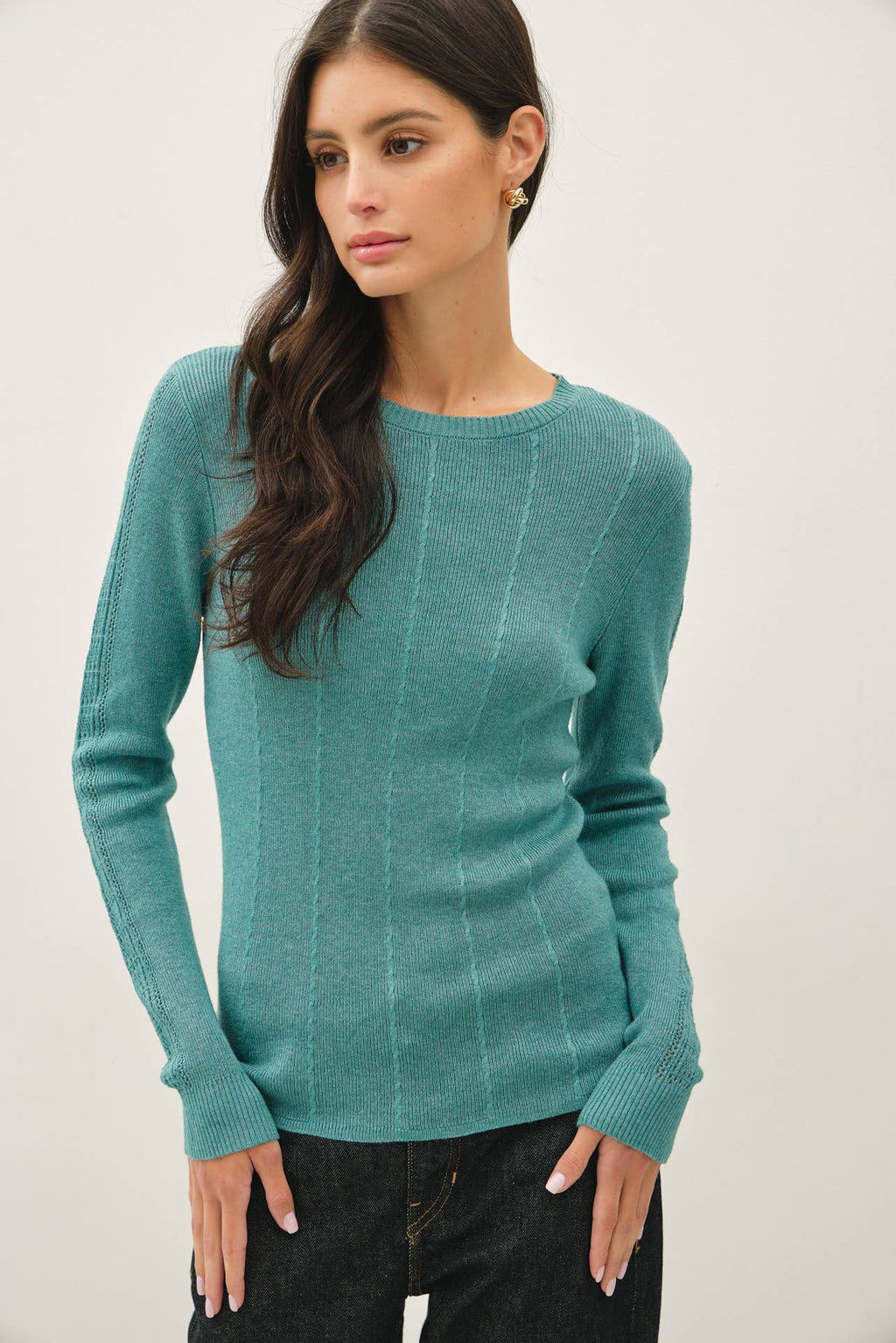 Be Cool - CROCHET SLEEVE POINTELLE FINE SWEATER