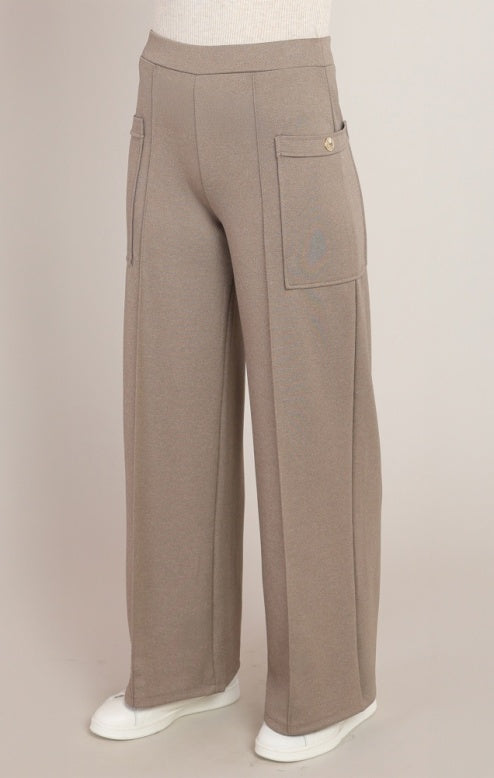 Warm Taupe Pants
