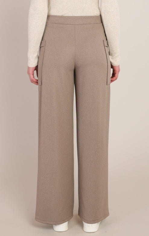 Warm Taupe Pants